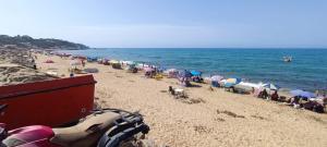 'Aïn TayaTop F2 pied dans eau的一群人在海滩上,带遮阳伞