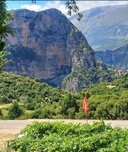 Gallery image of Guest House Vatra in Lekdush