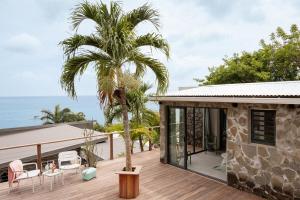 a tropical house with a palm tree on the deck at Turtle Rock 7 chambres in Les Anses-dʼArlets