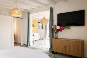 a bedroom with a television and a vase of flowers at Turtle Rock 7 chambres in Les Anses-dʼArlets