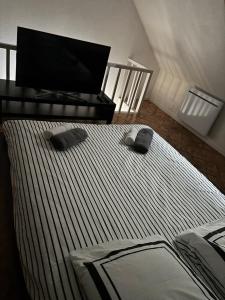 a bedroom with a bed and a flat screen tv at Pétale in Bourg-le-Roi +3 photos