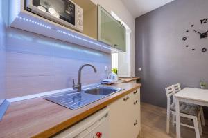une cuisine avec un évier et un plan de travail dans l'établissement Solis Apartment, à Korčula