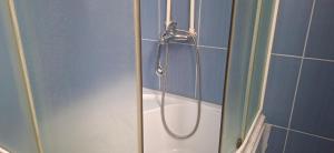 a shower in a bathroom with a bath tub at Camp Krivace in Pljevlja +38 photos