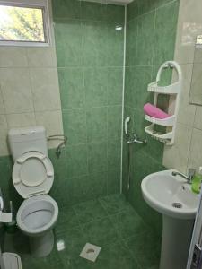 a green bathroom with a toilet and a sink at Apartmani Milica Dojran in Star Dojran