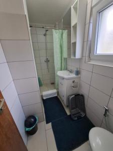 Ένα μπάνιο στο Apartman Mint +4 φωτογραφίες