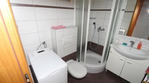 ein Badezimmer mit Toilette, Dusche und Waschbecken in der Unterkunft Dugiš studio-no parking in Makarska