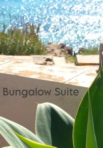 a sign that reads burnaby sulfide behind a plant at Mandala Bungalows - Adults Only in Los Caños de Meca