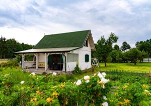 a white house with a green roof in a field of flowers at Biały Domek w Ogrodzie Różanym 