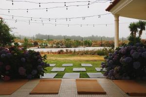 a garden with stepping stones and purple flowers at Quinta Amarela - B&B in Nazaré