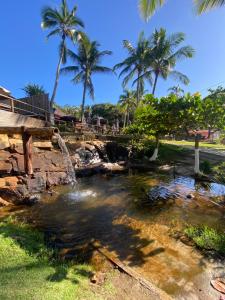a pond with palm trees and a waterfall at Chalé Tiririca Surf & Mar in Itacaré