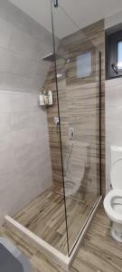 プルジネにあるMountain Escape Breznaの浴室のガラス扉付きシャワー