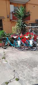 Jízda na kole v ubytování Casa Celeghin nebo okolí