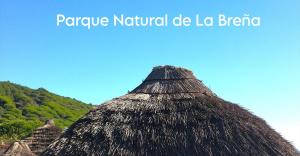 a straw roof with the words pineapple natural de la barra at Mandala Bungalows - Adults Only in Los Caños de Meca
