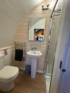 a small bathroom with a sink and a toilet at Queensland Holiday Park - Glamping in South West Scotland in Barrhill