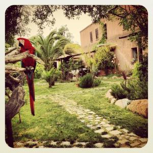 A garden outside La Fattoria Delle Tartarughe