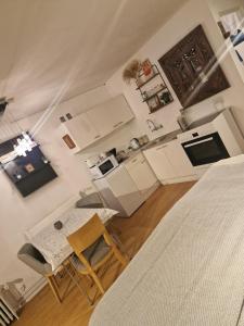 Kuchyň nebo kuchyňský kout v ubytování Studio Apartment Central