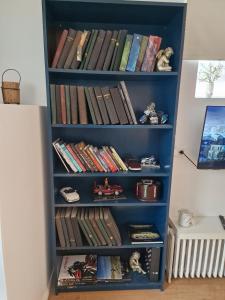Knihovna v apartmánu