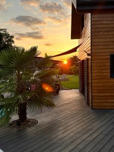 a sunset on a wooden deck with a palm tree at Chez Seb et Lilou - Chalet Tiny House - piscine partagée - parking - proche Mulhouse in Flaxlanden +5 photos