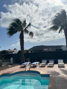 a swimming pool with chairs and a palm tree at Villa Sarah in Playa Blanca
