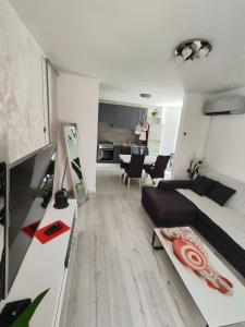 TV a/nebo společenská místnost v ubytování Apartman Emanuel + 5 fotografií