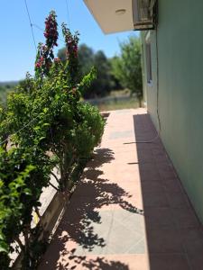 a walkway next to a building with flowers on it at Galinis Rooms in Paradeísion +6 photos