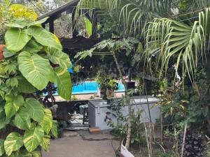 a garden with a swimming pool and some plants at Chácara Nhá Chica - Roseira - Aparecida - a 8km do Santuário Nacional in Aparecida +26 photos