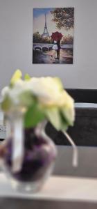 Fotografie z fotogalerie ubytování Studio Dana v destinaci Aranđelovac