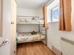 a bedroom with two bunk beds and a window at Owl Cottage in Llandeilo +9 photos