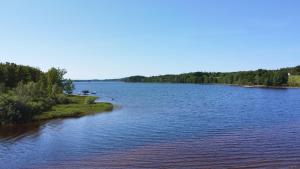 Gallery image of Havsörn in Kalv