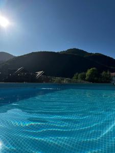 a blue swimming pool with a mountain in the background at Trembita in Mizhhirʼʼya +54 photos