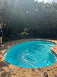 een klein blauw zwembad op een bakstenen terras bij Cherry Lane Constantia in Kaapstad