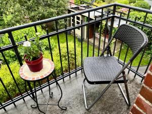 a chair and a potted plant on a balcony at Kleine Landhaus-Perle am Schlosspark in Eutin