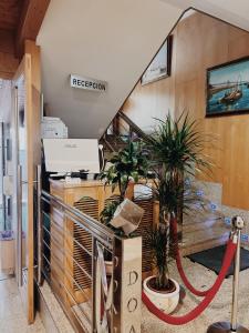 a staircase with potted plants in a room at Doade in Hio