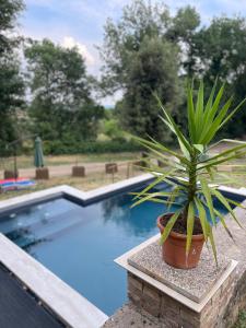 a potted plant sitting on a ledge next to a swimming pool at Villa Lilia by Let in Siena