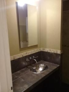 a bathroom with a sink and a mirror at Monoambiente Azopardo in Formosa