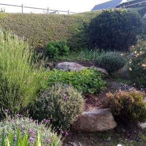 a garden with flowers and plants on a hill at Villa le domaine du cotis in Tourlaville