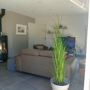 a living room with a couch and a plant at Villa le domaine du cotis in Tourlaville