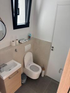 ein kleines Badezimmer mit Toilette und Waschbecken in der Unterkunft La Vallée des Biches G2 in Saint-Martin-Boulogne + 19 Fotos