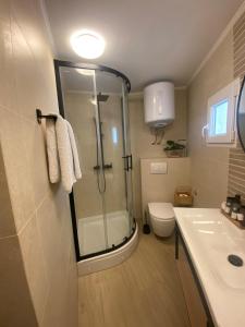 a bathroom with a shower and a toilet and a sink at Cukarin Heritage in Korčula
