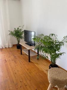 a room with two potted plants and a television on a table at Philoxenia Apartments 2 in Samos