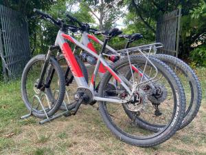 two bikes parked next to each other on the grass at Stanza nel bosco alla Canova di Biforco in Rocca San Casciano