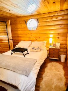 a bedroom with two beds in a log cabin at The Gratitude Homestay in Alamosa