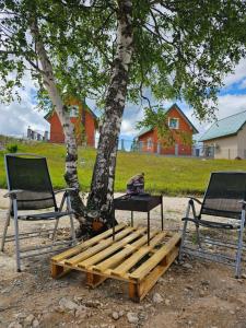 two chairs and a bench next to a tree at Malii Rajj Žabljak in Žabljak