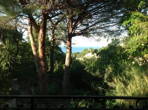 Φυσικό τοπίο κοντά σε αυτό το διαμέρισμα +3 φωτογραφίες