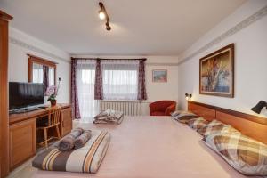 Televízia a/alebo spoločenská miestnosť v ubytovaní 6RoomS HÉVÍZ-BALATON