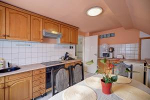 Kuchyňa alebo kuchynka v ubytovaní 6RoomS HÉVÍZ-BALATON