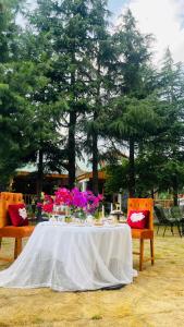 Fotografie z fotogalerie ubytování Secret Garden Kalam v destinaci Kalām