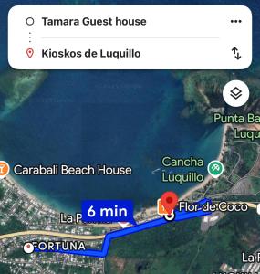 Gallery image of Tamara Guest House in Luquillo