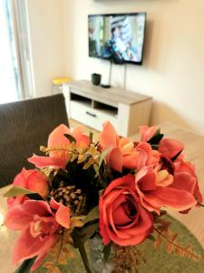 Μια τηλεόραση ή/και κέντρο ψυχαγωγίας στο Trajkovic One Bedroom Apartment