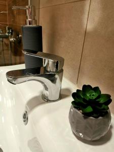 Φωτογραφία από το άλμπουμ του Trajkovic One Bedroom Apartment σε Soko Banja +13 φωτογραφίες